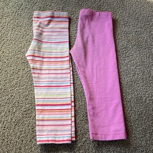 Tea Collection capris